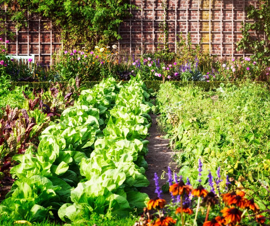 Advanced Gardening 