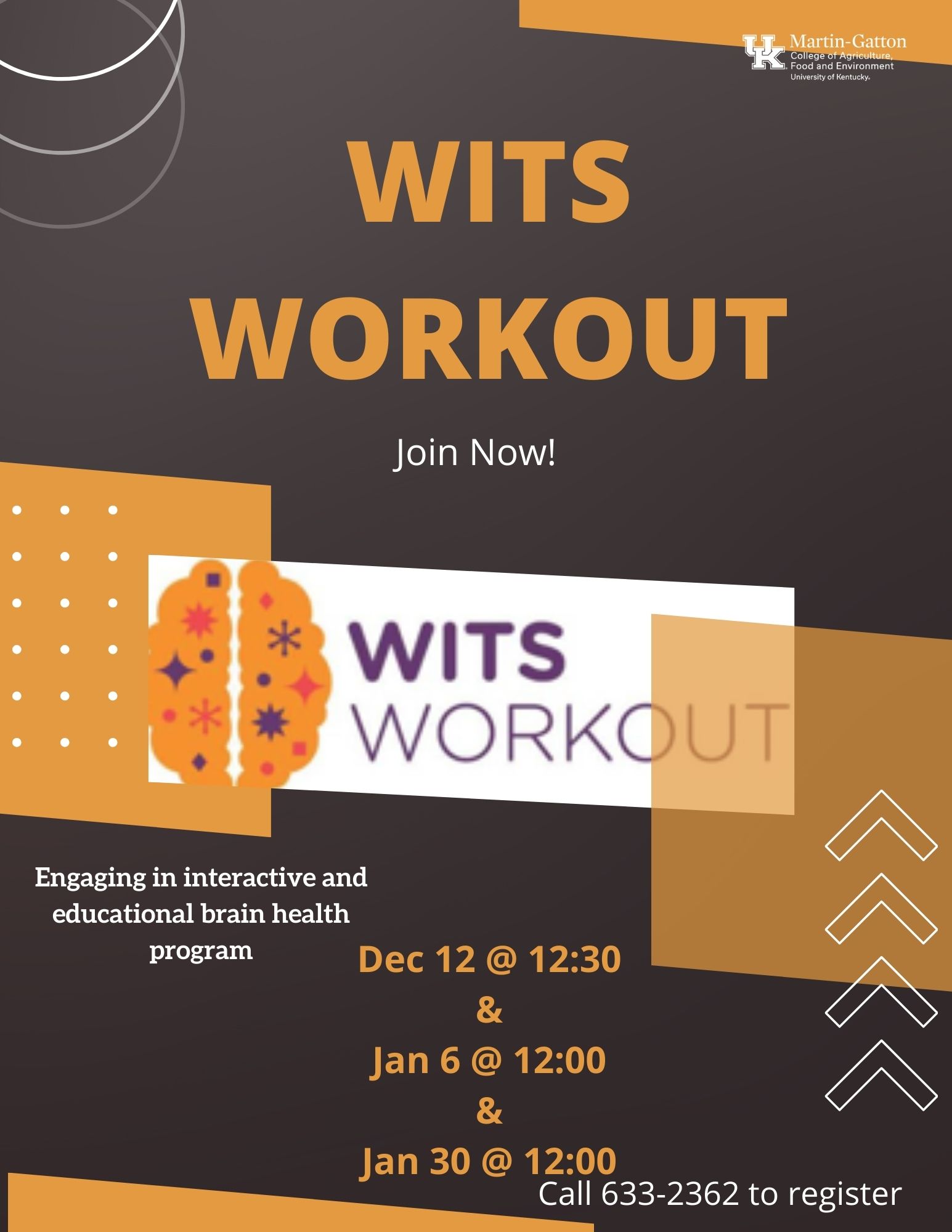 Wits Workout